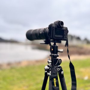 Introduction to Photography